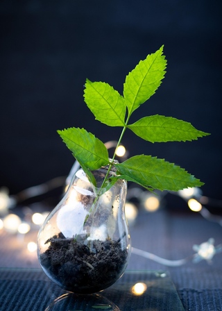 Atelier recyclage-création, Colonie de vacances Ulysséo, Loisirs-créativité